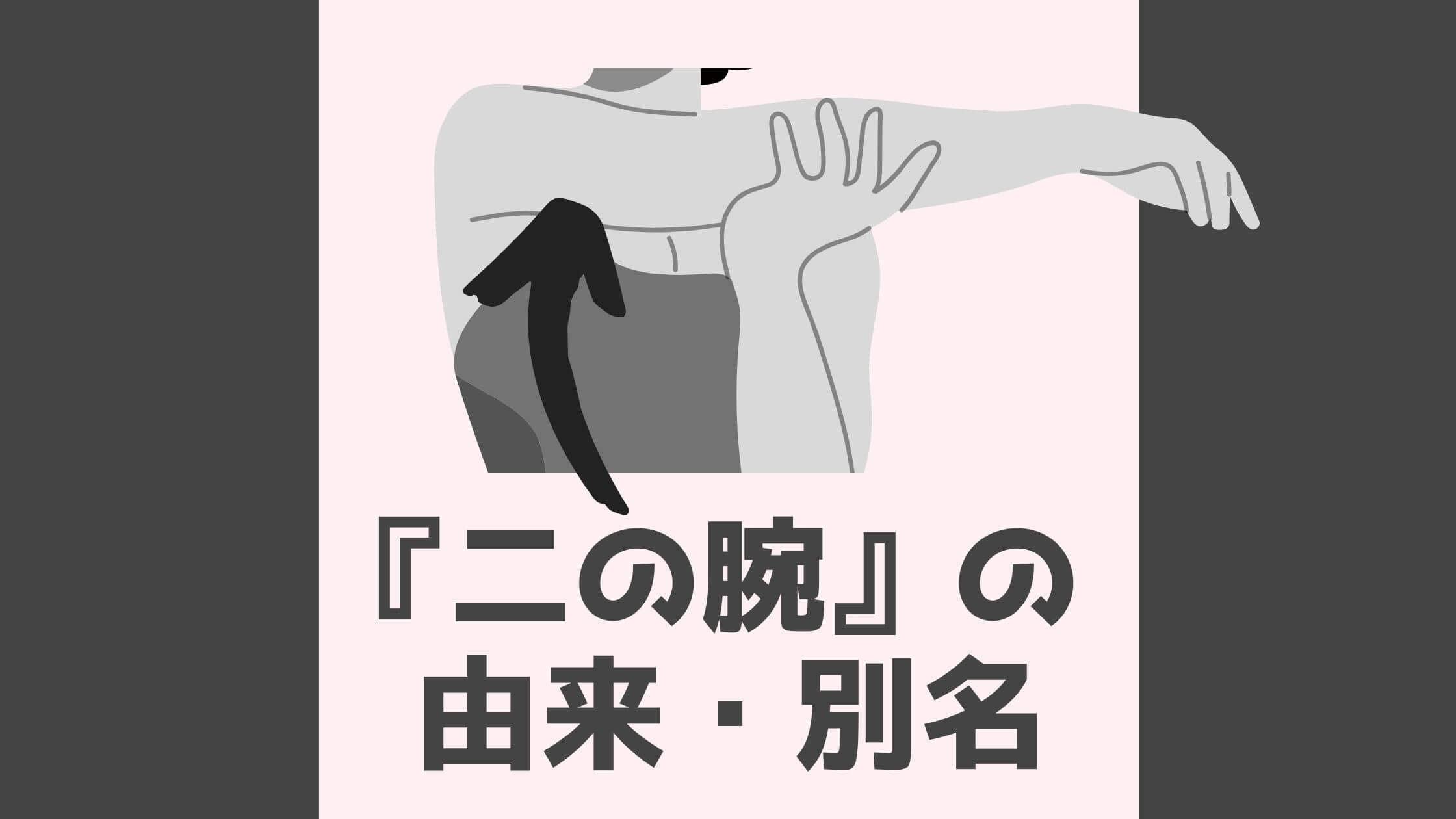 二の腕 の名前の由来と別名 言葉は生き物 だと悟るその歴史 なるほどナビ